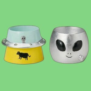 2 mini pots / planters (for cactus or succulents).